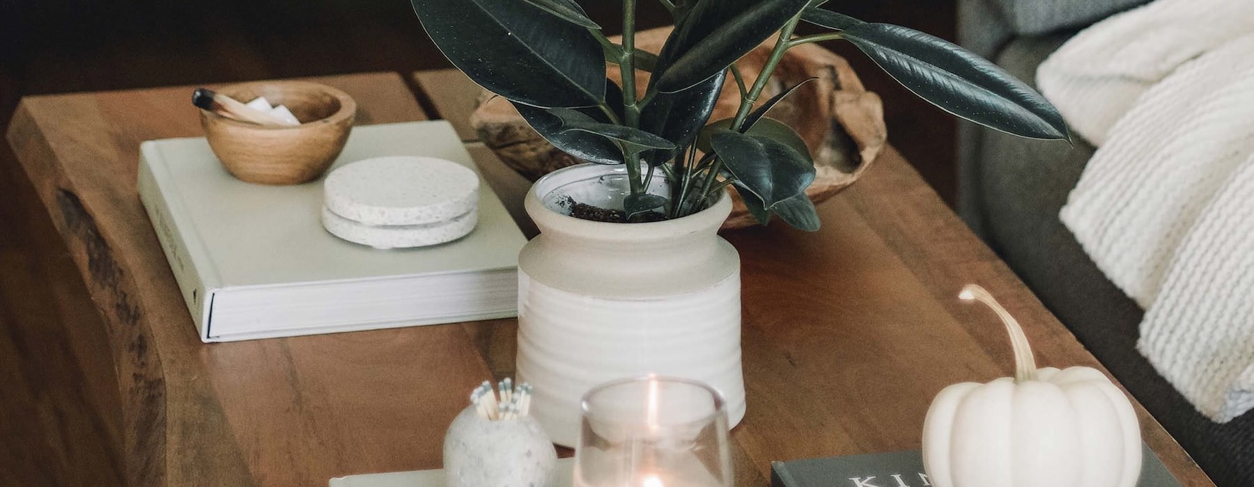 a coffee table with plants and candles