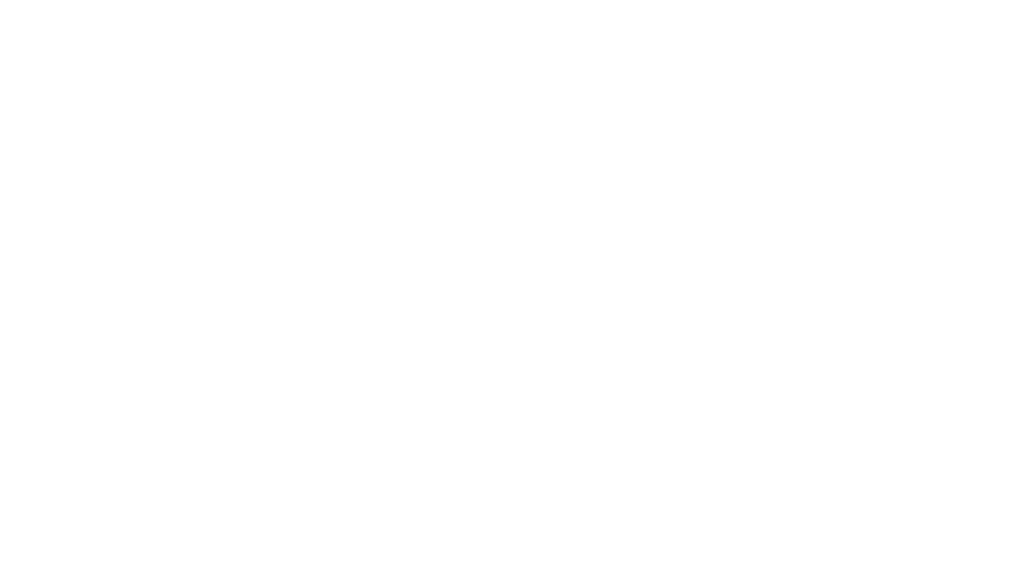 Salt City Flats Logo